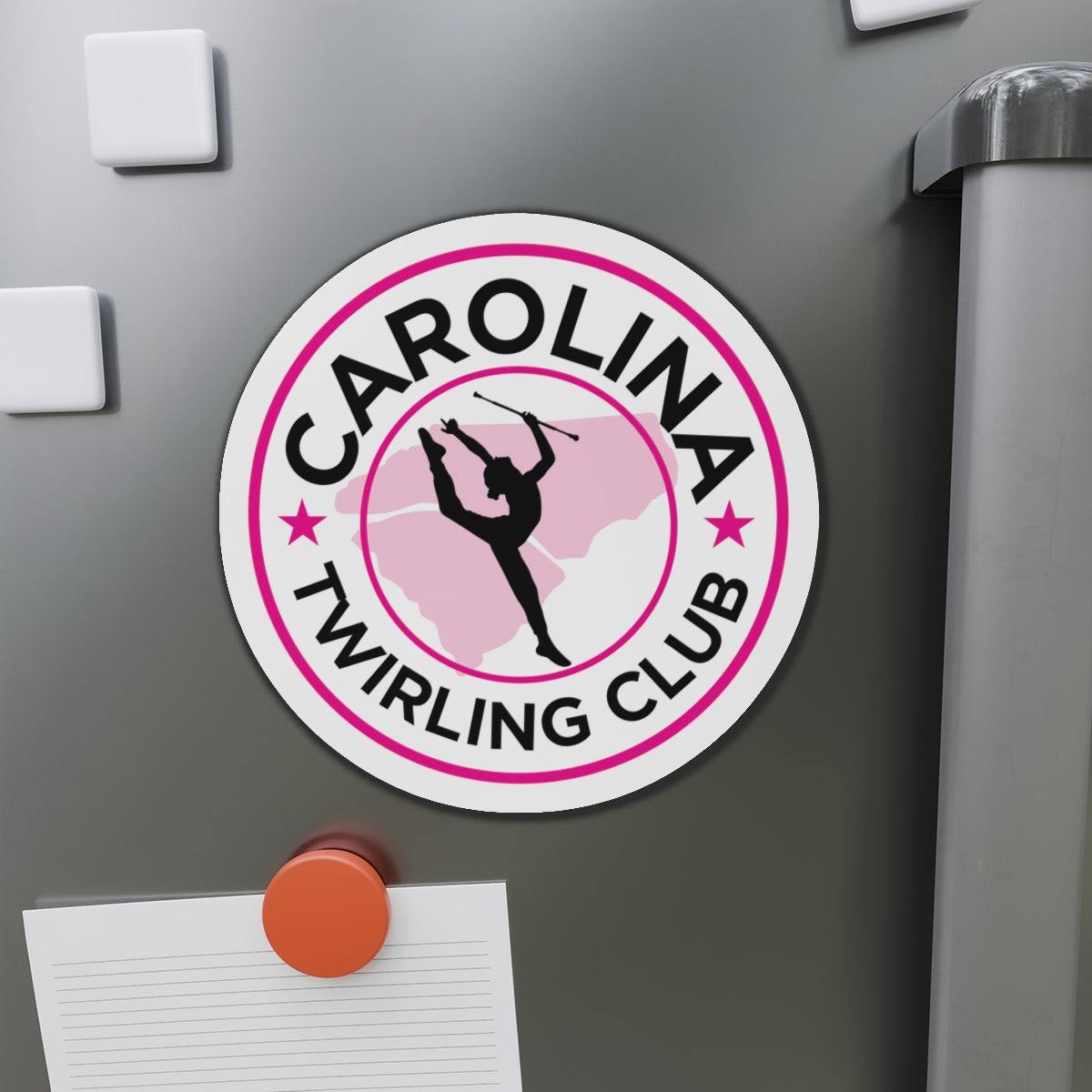 Twirling Round Vinyl Magnets