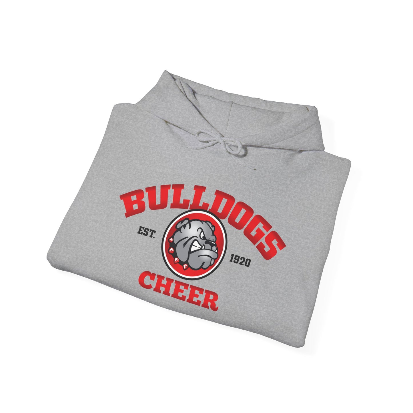 Adult AGMS Cheer Hoodie (unisex)
