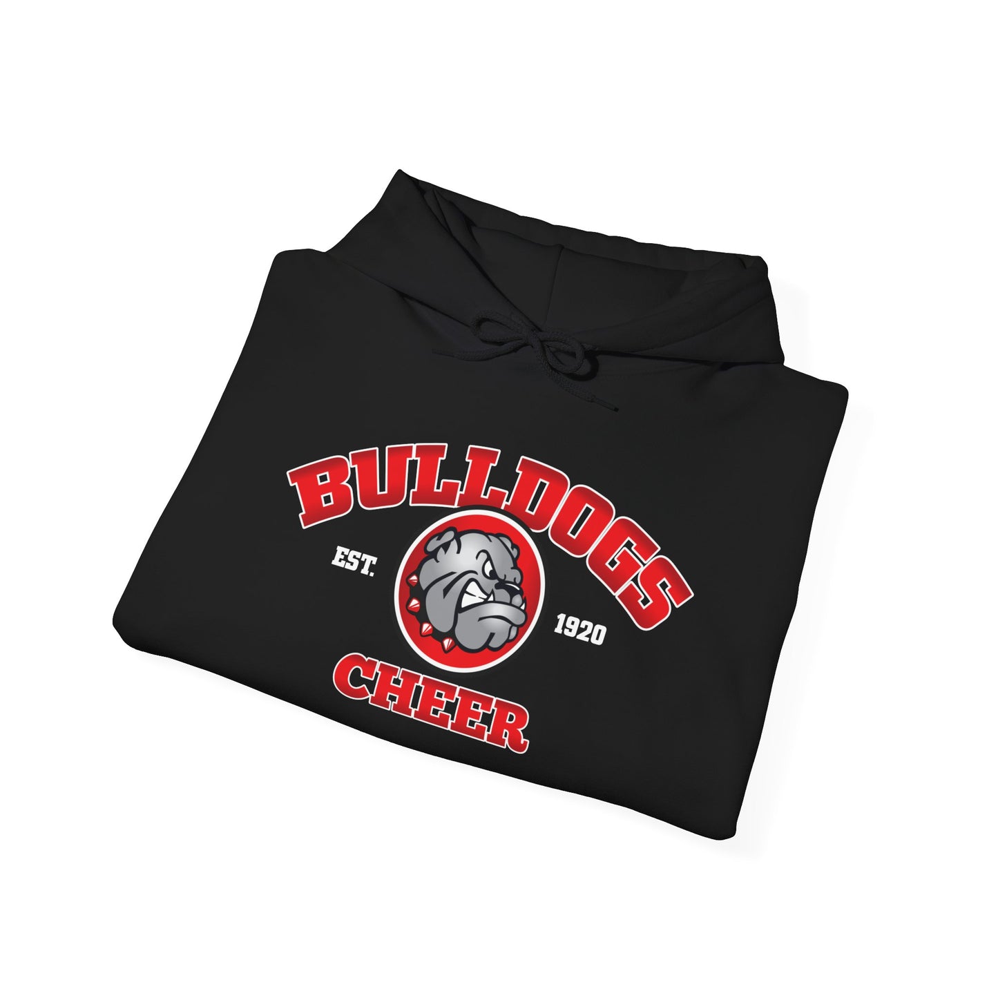 Adult AGMS Cheer Hoodie (unisex)