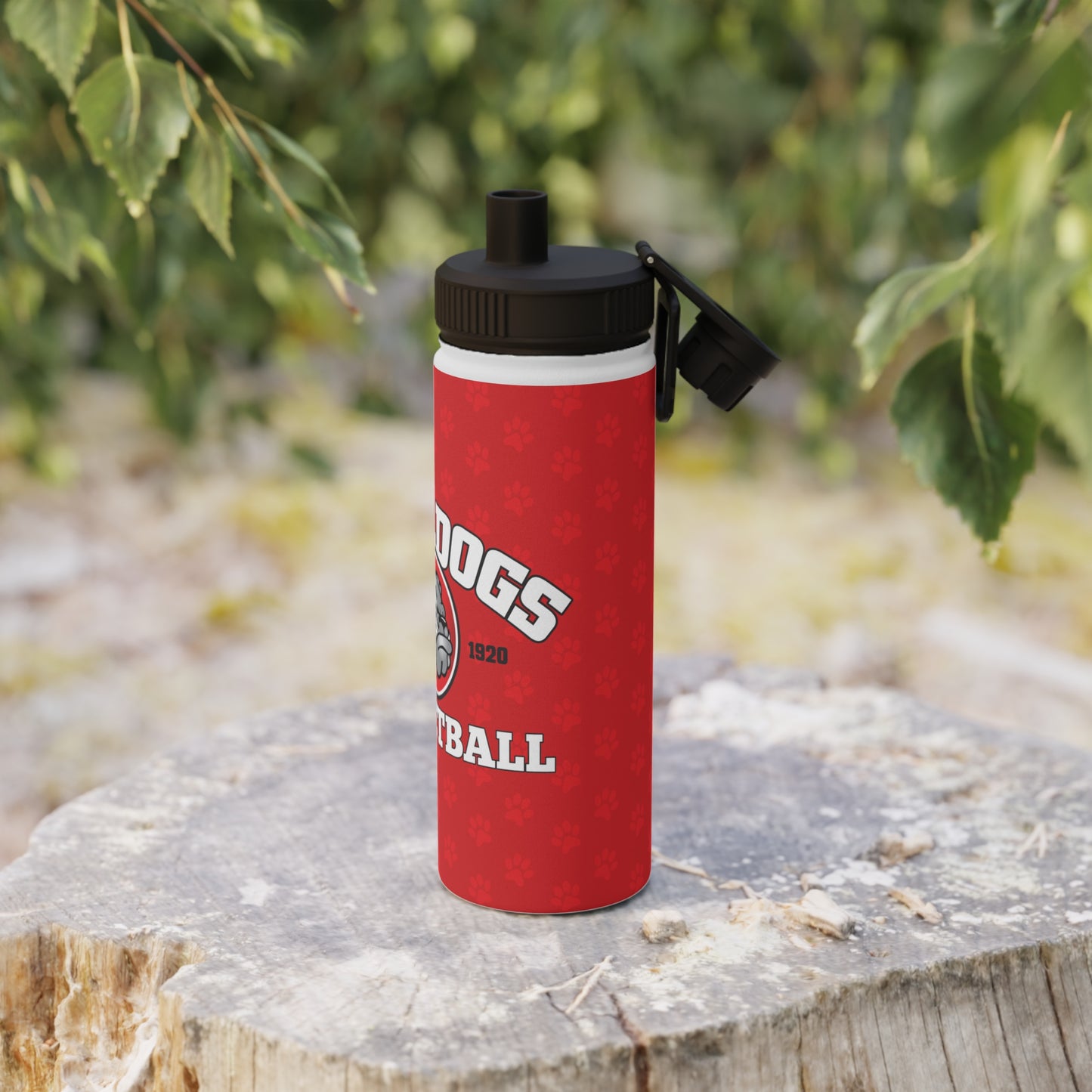 AGMS Basketball Stainless Steel Water Bottle, Sports Lid