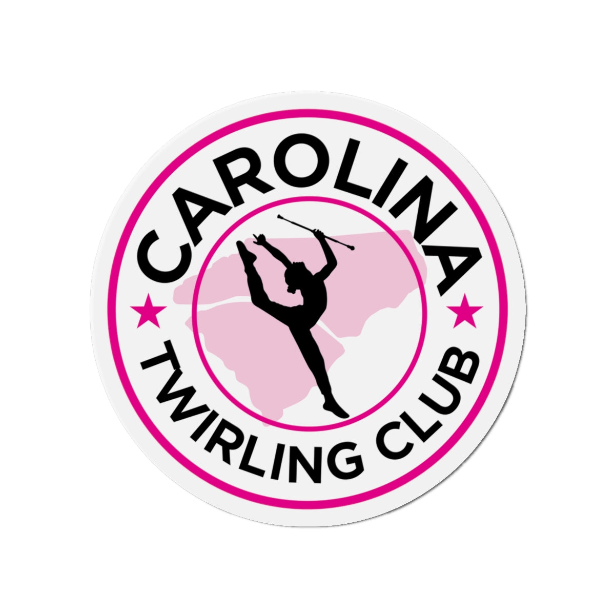 Twirling Round Vinyl Magnets