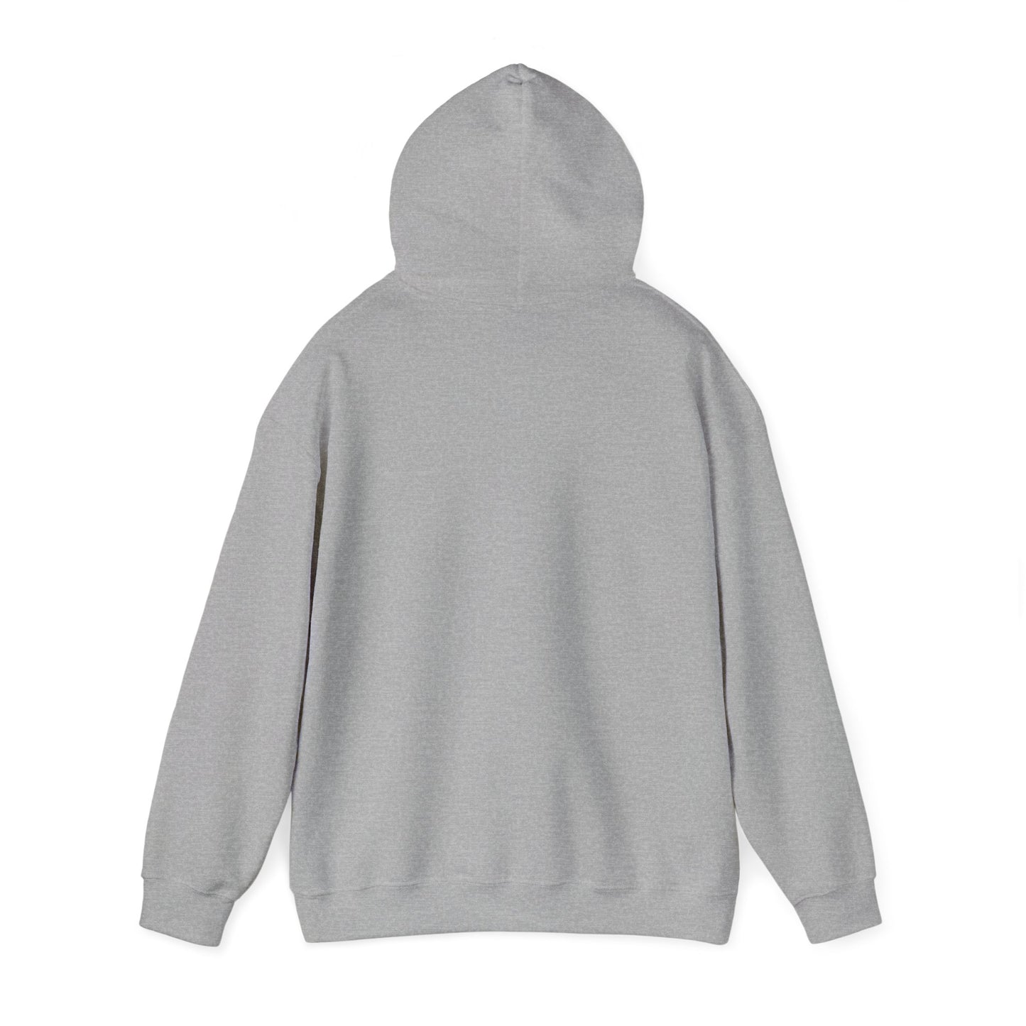Adult AGMS Cheer Hoodie (unisex)