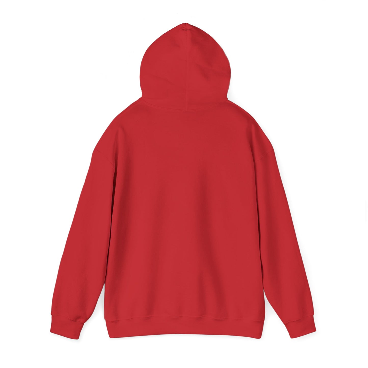Adult AGMS Volleyball Hoodie (unisex)