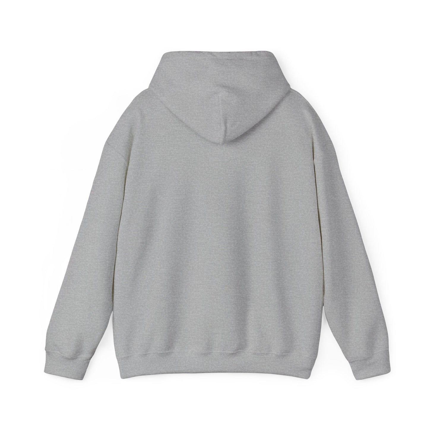 Adult AGMS Volleyball Hoodie (unisex)